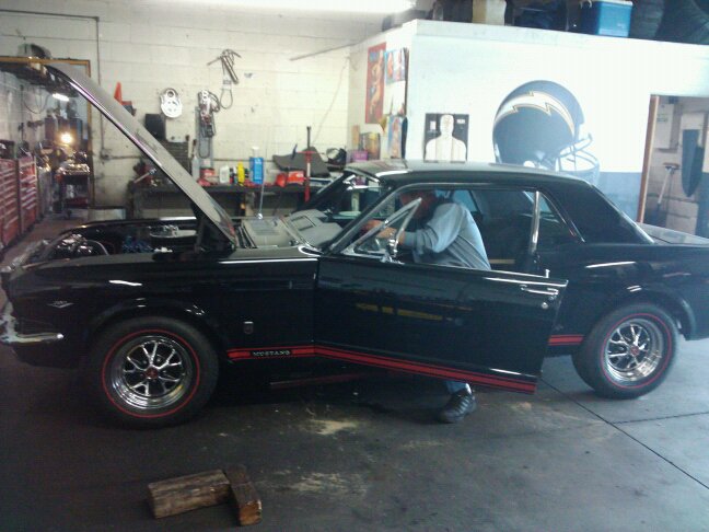 65' MUSTANG